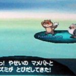 minezumi minezumi 150x150 Pokebeach reveals 2 pokemon! (UPD)