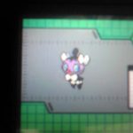gochimu gochimu 150x150 New Pokemon UPD17