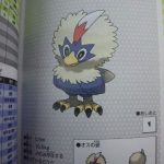 guide15