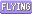 flying Passwords