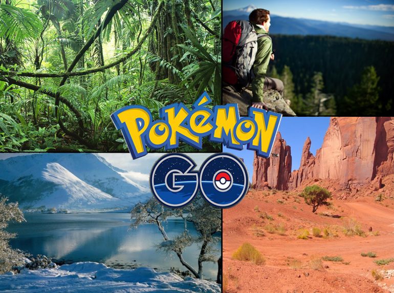 Pokémon GO : What We Need to Ask!