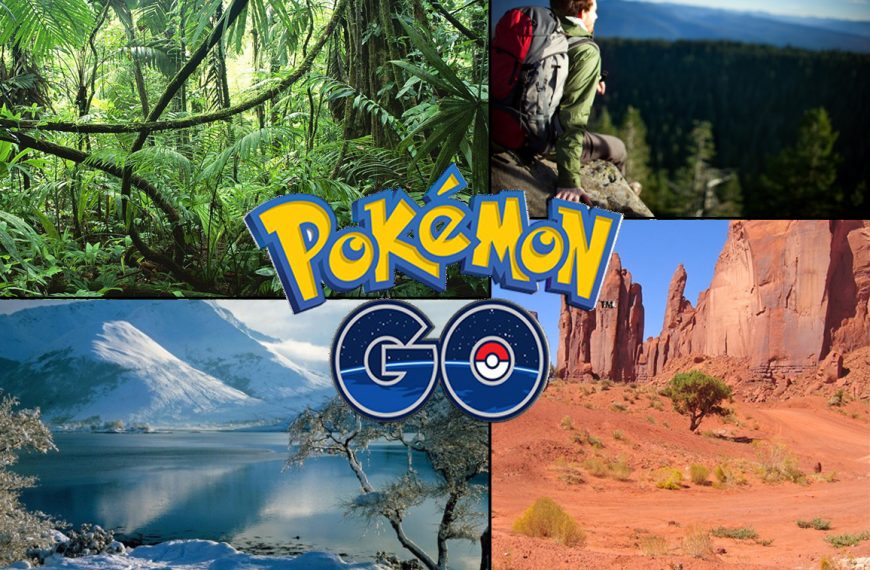 Pokémon GO : What We Need to Ask!