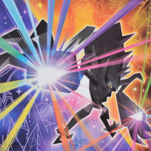 Weekly Wrap Up 11/13-11/19