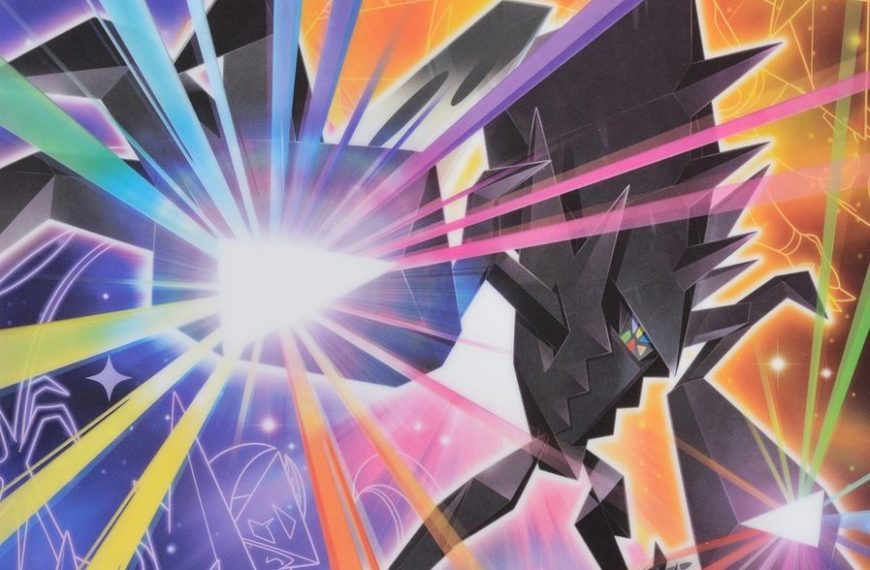 Weekly Wrap Up 11/13-11/19