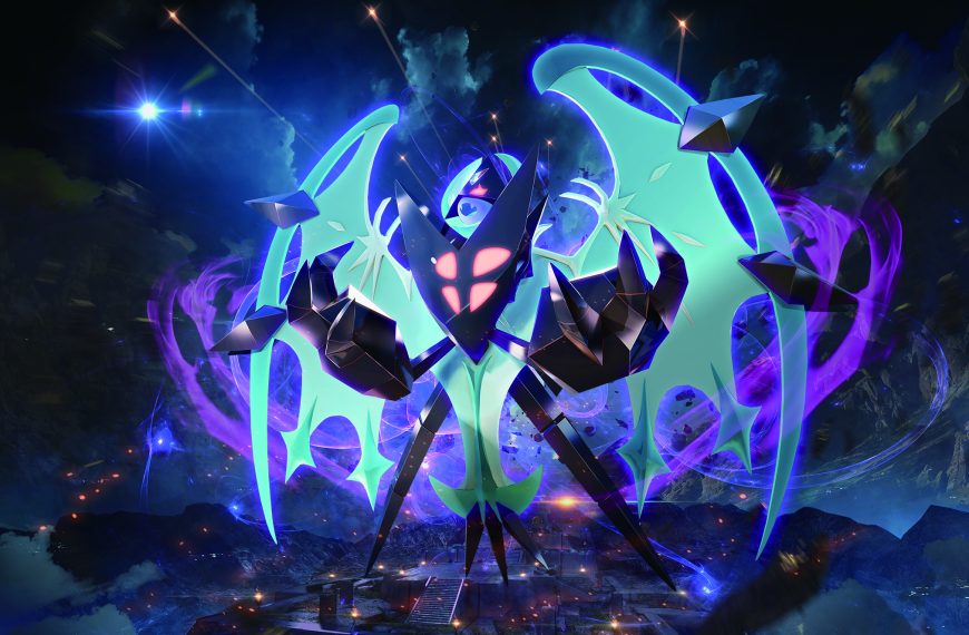 Weekly Wrap Up 2/5-2/11