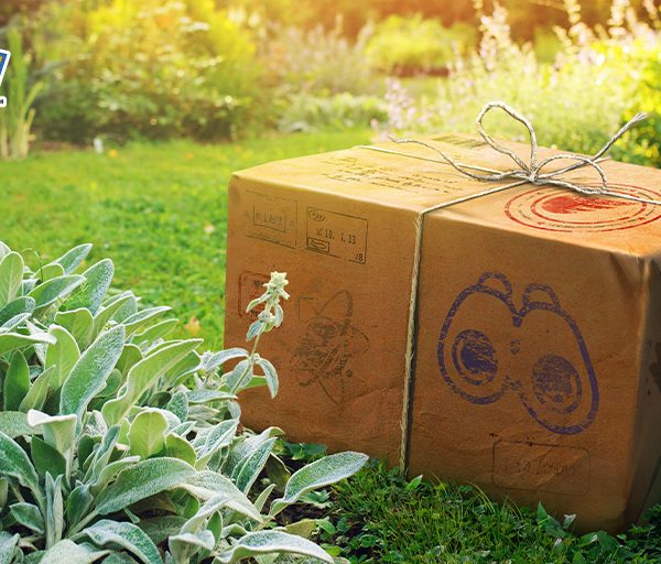 Pokémon GO outlines August 2020 events and bonuses