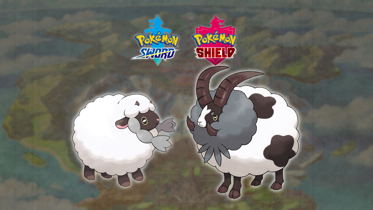 The origins of Wooloo & Dubwool