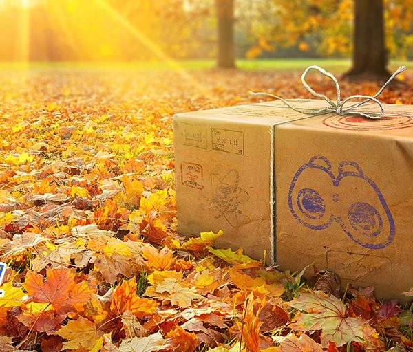 Pokémon GO outlines November events, including Day of the Dead