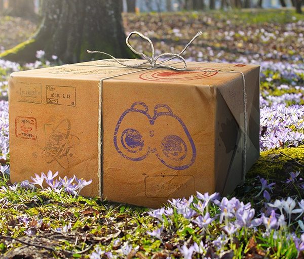 Pokémon GO events, research & more for April 2021