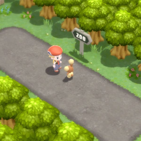 Pokémon Brilliant Diamond & Shining Pearl updated to version 1.1.2