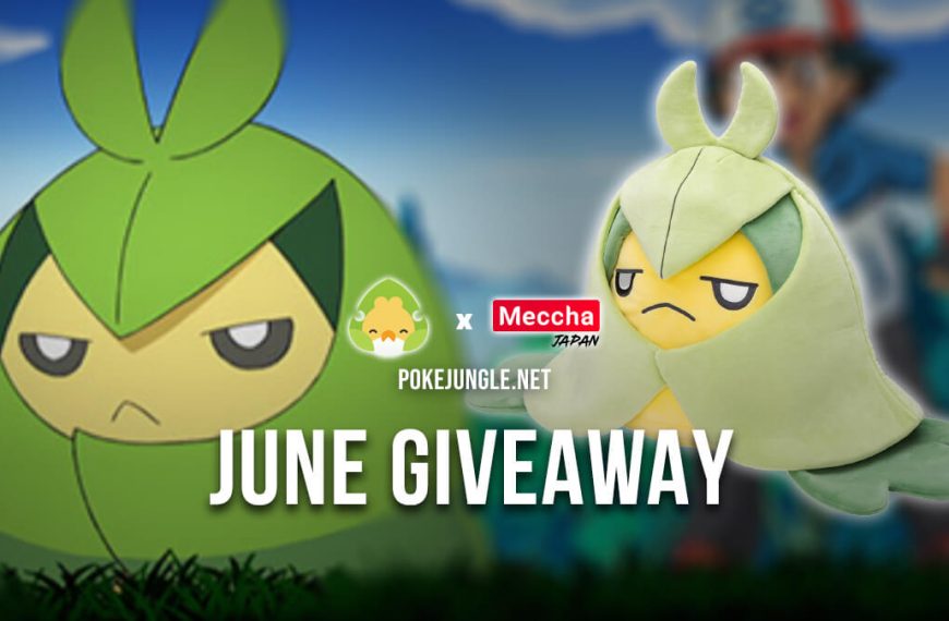June 2022 Giveaway: Swadloon plushie