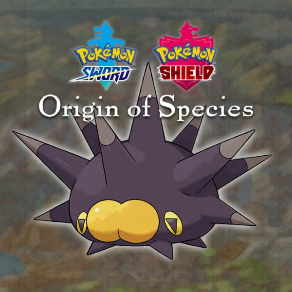 Pincurchin – Origin of Species