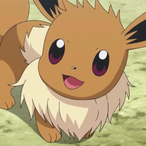 All the events for Eevee Day in 2023