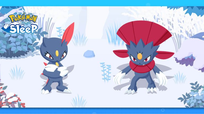 Sneasel and Weavile to debut in Pokémon Sleep