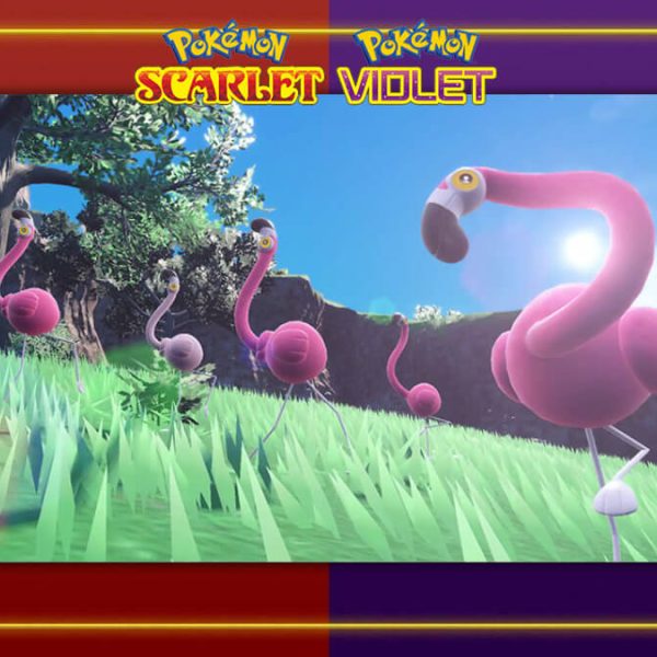 Flamigo and Alolan Exeggutor featured in next Mass outbreak, Tera Raid Battle event