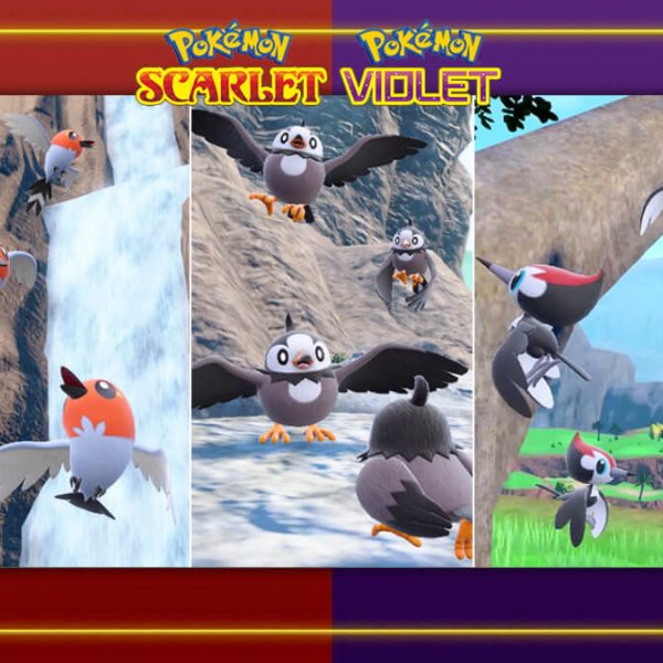 Here’s an opportunity to Shiny hunt some bird Pokémon in Scarlet & Violet
